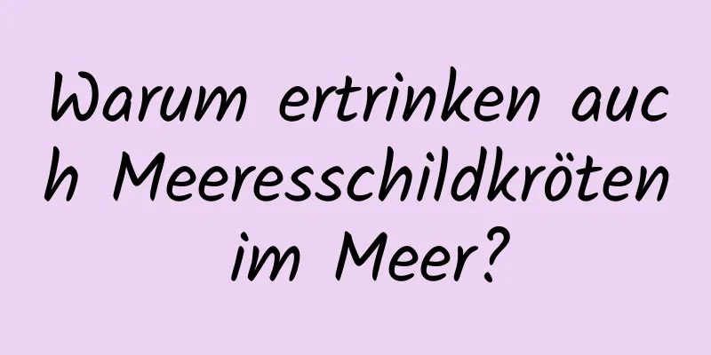 Warum ertrinken auch Meeresschildkröten im Meer?