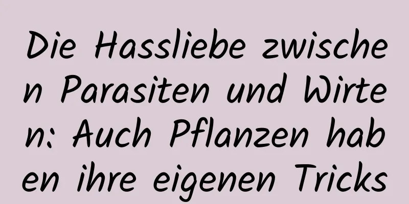 Die Hassliebe zwischen Parasiten und Wirten: Auch Pflanzen haben ihre eigenen Tricks