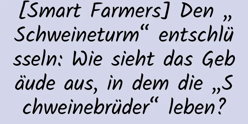 [Smart Farmers] Den „Schweineturm“ entschlüsseln: Wie sieht das Gebäude aus, in dem die „Schweinebrüder“ leben?