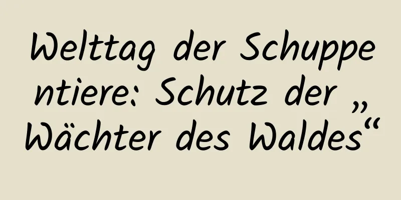 Welttag der Schuppentiere: Schutz der „Wächter des Waldes“