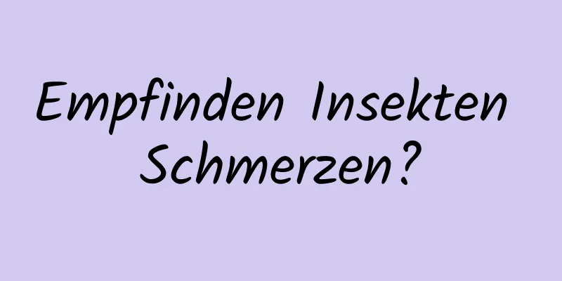 Empfinden Insekten Schmerzen?