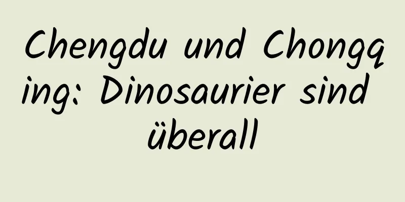 Chengdu und Chongqing: Dinosaurier sind überall