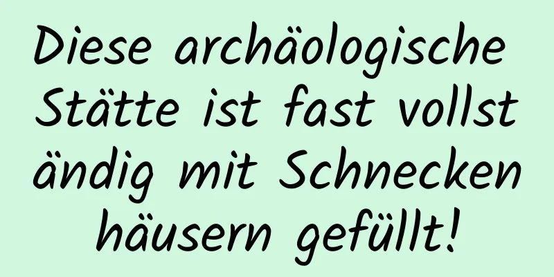 Diese archäologische Stätte ist fast vollständig mit Schneckenhäusern gefüllt!