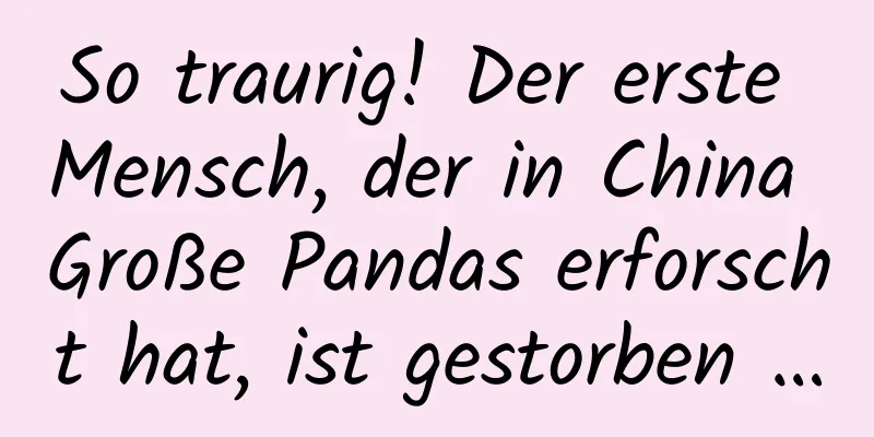 So traurig! Der erste Mensch, der in China Große Pandas erforscht hat, ist gestorben …