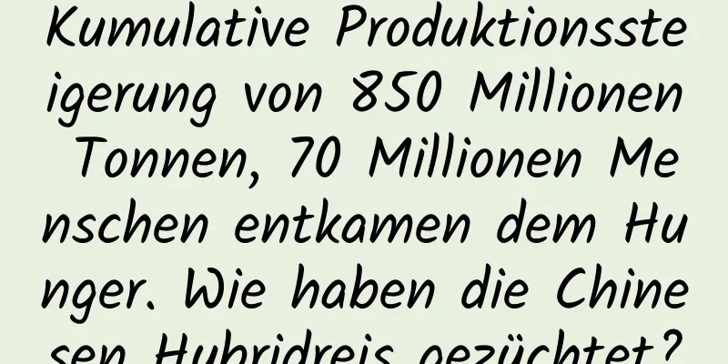Kumulative Produktionssteigerung von 850 Millionen Tonnen, 70 Millionen Menschen entkamen dem Hunger. Wie haben die Chinesen Hybridreis gezüchtet?