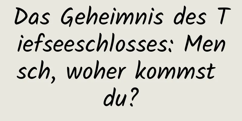 Das Geheimnis des Tiefseeschlosses: Mensch, woher kommst du?