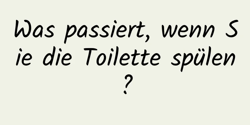Was passiert, wenn Sie die Toilette spülen?