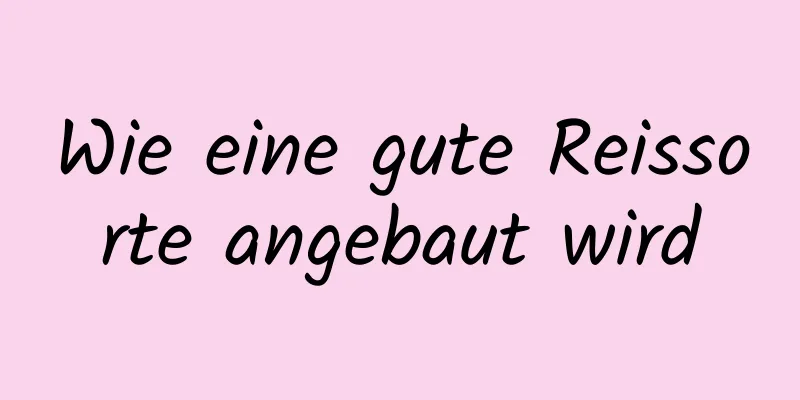 Wie eine gute Reissorte angebaut wird