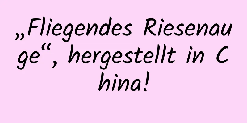 „Fliegendes Riesenauge“, hergestellt in China!