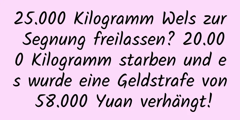 25.000 Kilogramm Wels zur Segnung freilassen? 20.000 Kilogramm starben und es wurde eine Geldstrafe von 58.000 Yuan verhängt!