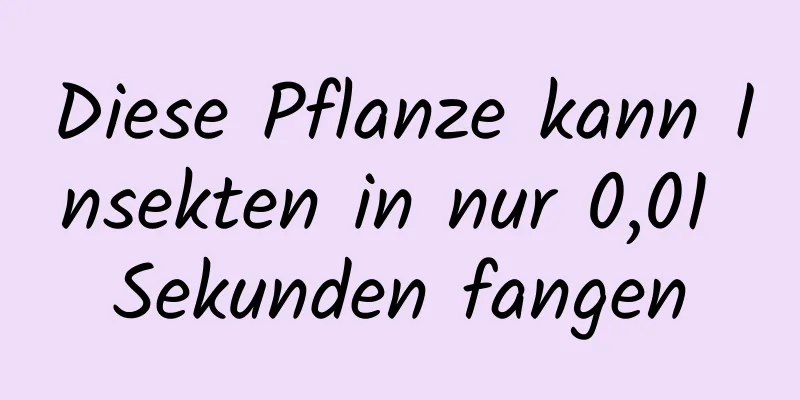 Diese Pflanze kann Insekten in nur 0,01 Sekunden fangen