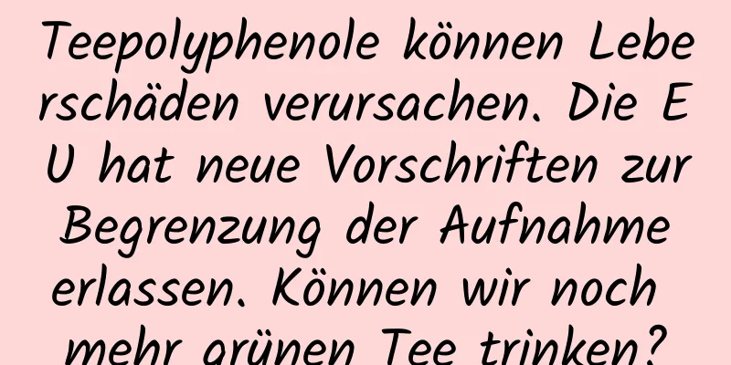 Teepolyphenole können Leberschäden verursachen. Die EU hat neue Vorschriften zur Begrenzung der Aufnahme erlassen. Können wir noch mehr grünen Tee trinken?