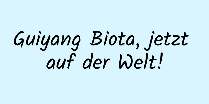 Guiyang Biota, jetzt auf der Welt!