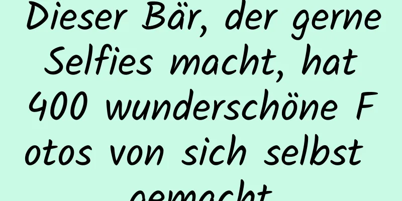 Dieser Bär, der gerne Selfies macht, hat 400 wunderschöne Fotos von sich selbst gemacht