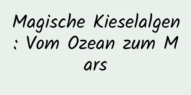 Magische Kieselalgen: Vom Ozean zum Mars