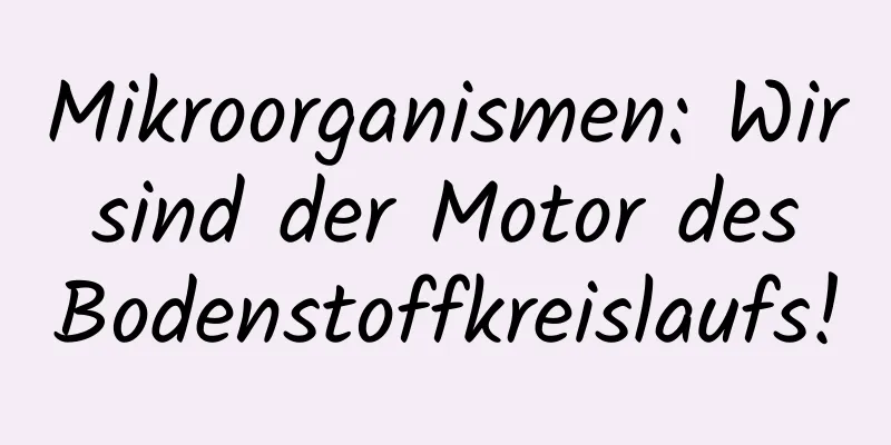 Mikroorganismen: Wir sind der Motor des Bodenstoffkreislaufs!
