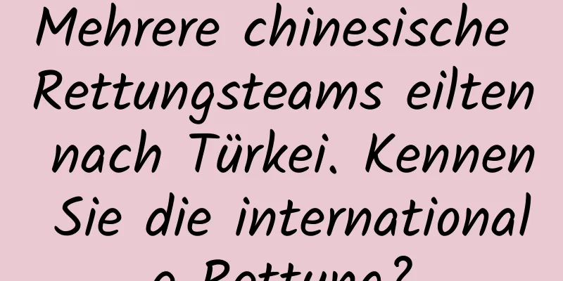 Mehrere chinesische Rettungsteams eilten nach Türkei. Kennen Sie die internationale Rettung?