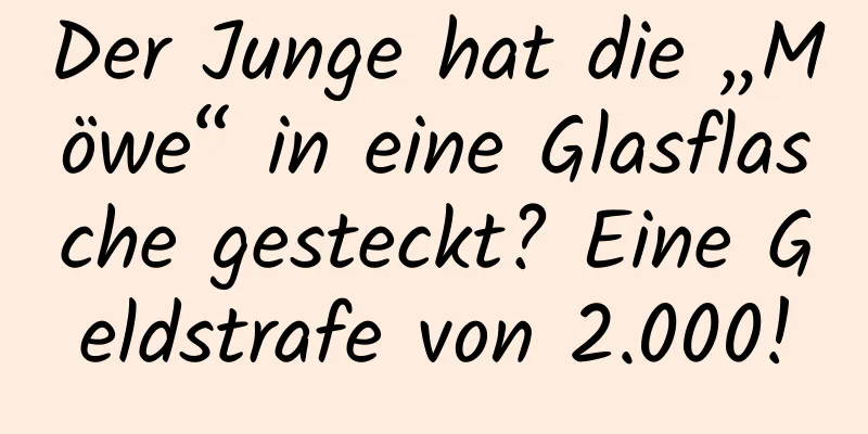 Der Junge hat die „Möwe“ in eine Glasflasche gesteckt? Eine Geldstrafe von 2.000!