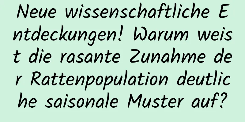 Neue wissenschaftliche Entdeckungen! Warum weist die rasante Zunahme der Rattenpopulation deutliche saisonale Muster auf?