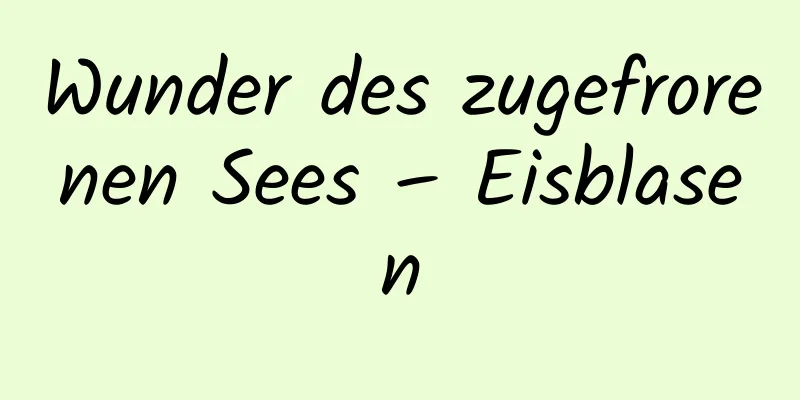 Wunder des zugefrorenen Sees – Eisblasen