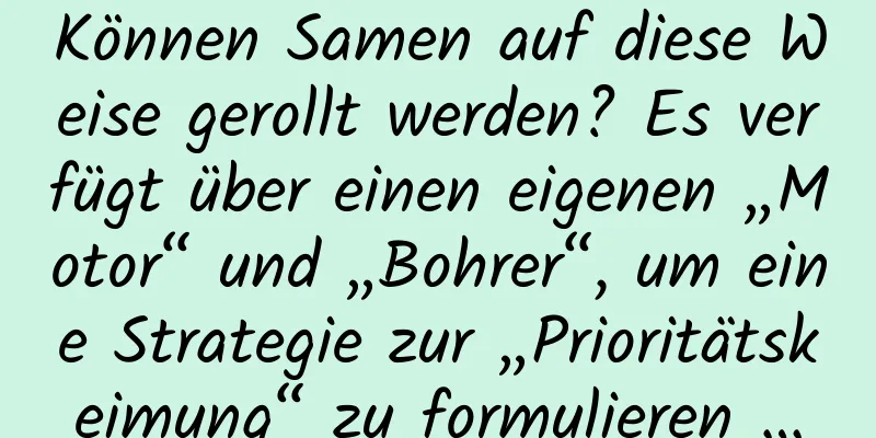 Können Samen auf diese Weise gerollt werden? Es verfügt über einen eigenen „Motor“ und „Bohrer“, um eine Strategie zur „Prioritätskeimung“ zu formulieren …