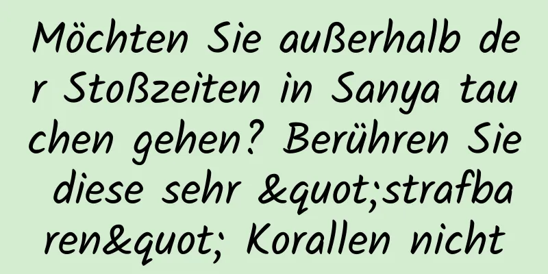 Möchten Sie außerhalb der Stoßzeiten in Sanya tauchen gehen? Berühren Sie diese sehr "strafbaren" Korallen nicht