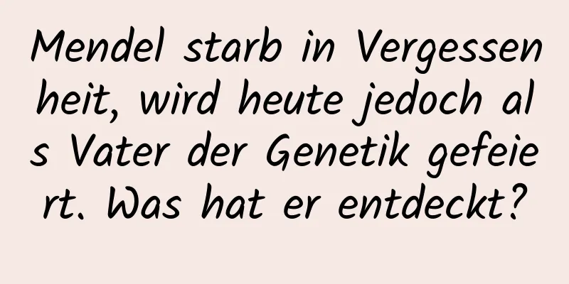 Mendel starb in Vergessenheit, wird heute jedoch als Vater der Genetik gefeiert. Was hat er entdeckt?