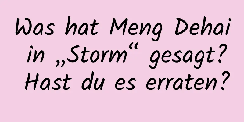 Was hat Meng Dehai in „Storm“ gesagt? Hast du es erraten?
