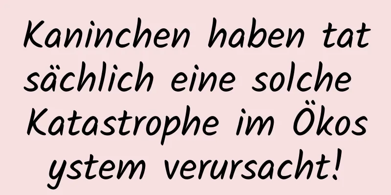 Kaninchen haben tatsächlich eine solche Katastrophe im Ökosystem verursacht!
