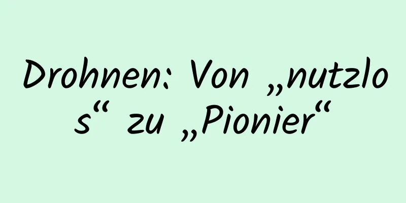 Drohnen: Von „nutzlos“ zu „Pionier“