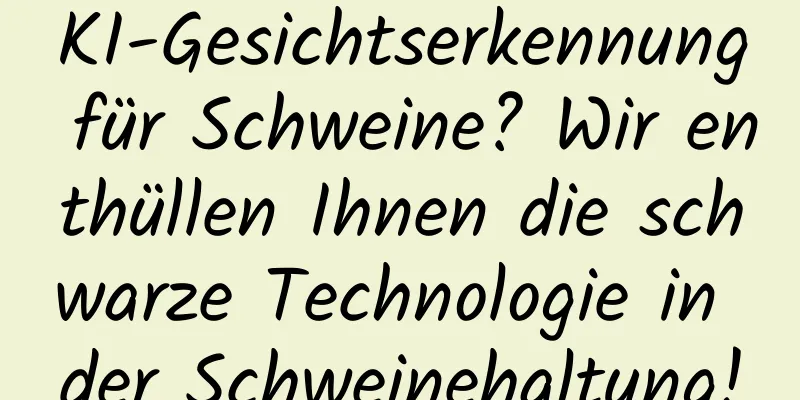 KI-Gesichtserkennung für Schweine? Wir enthüllen Ihnen die schwarze Technologie in der Schweinehaltung!