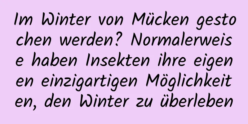 Im Winter von Mücken gestochen werden? Normalerweise haben Insekten ihre eigenen einzigartigen Möglichkeiten, den Winter zu überleben