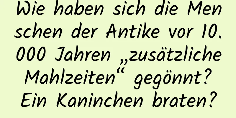 Wie haben sich die Menschen der Antike vor 10.000 Jahren „zusätzliche Mahlzeiten“ gegönnt? Ein Kaninchen braten?