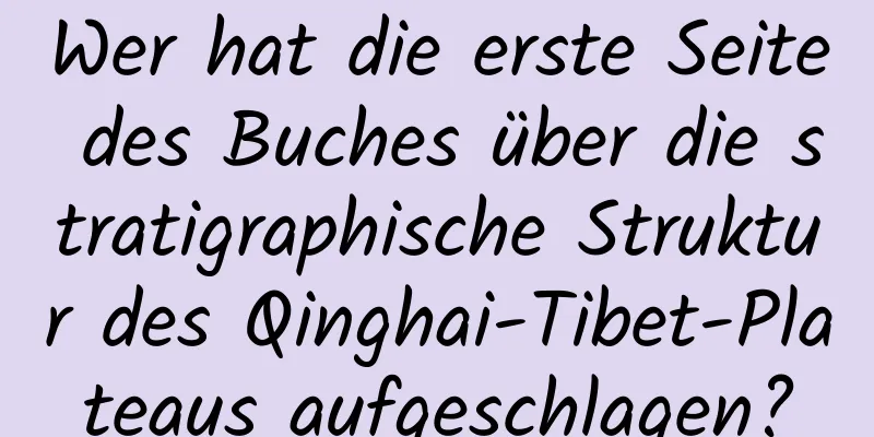 Wer hat die erste Seite des Buches über die stratigraphische Struktur des Qinghai-Tibet-Plateaus aufgeschlagen?