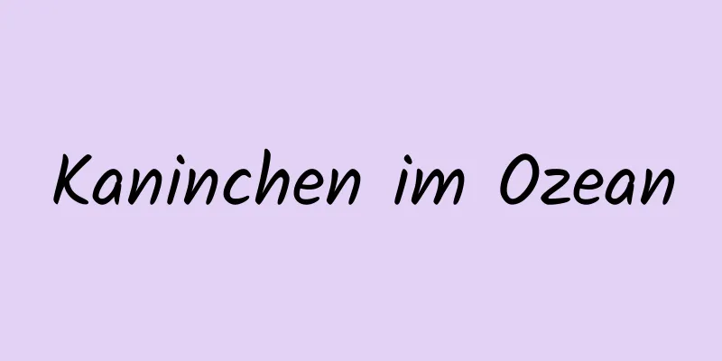 Kaninchen im Ozean