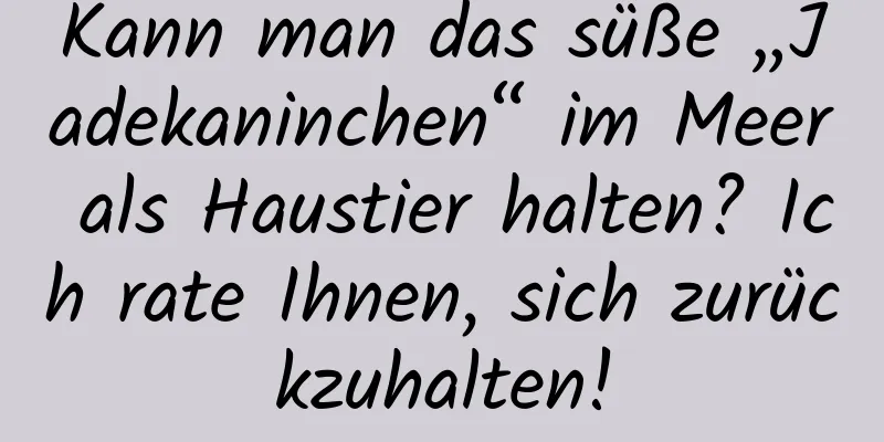 Kann man das süße „Jadekaninchen“ im Meer als Haustier halten? Ich rate Ihnen, sich zurückzuhalten!