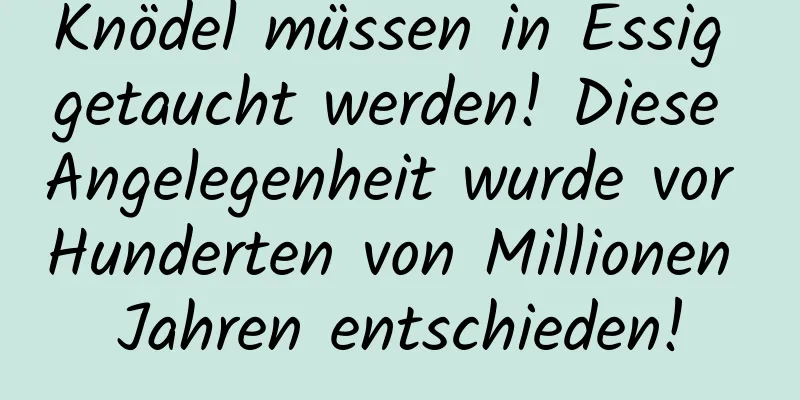 Knödel müssen in Essig getaucht werden! Diese Angelegenheit wurde vor Hunderten von Millionen Jahren entschieden!