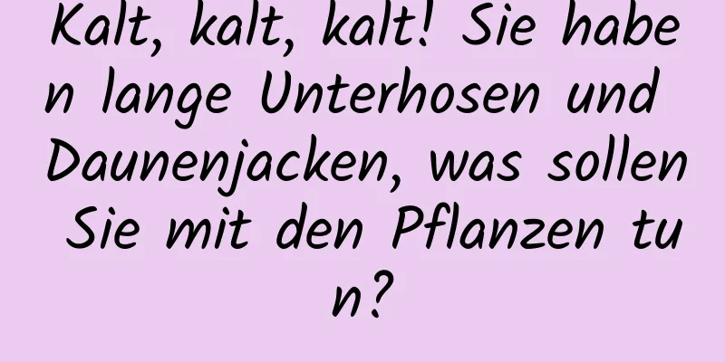 Kalt, kalt, kalt! Sie haben lange Unterhosen und Daunenjacken, was sollen Sie mit den Pflanzen tun?
