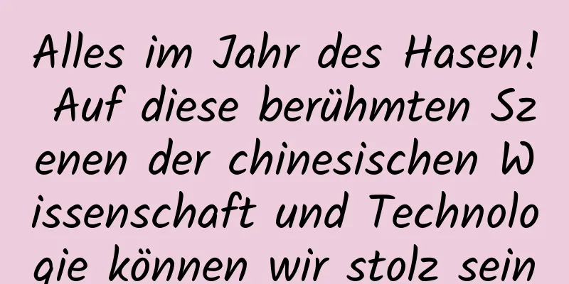 Alles im Jahr des Hasen! Auf diese berühmten Szenen der chinesischen Wissenschaft und Technologie können wir stolz sein