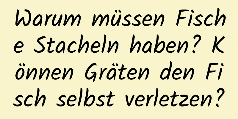Warum müssen Fische Stacheln haben? Können Gräten den Fisch selbst verletzen?