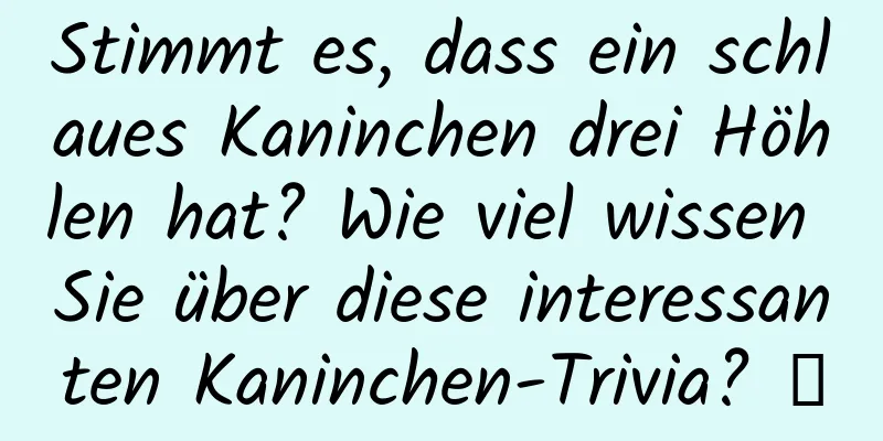 Stimmt es, dass ein schlaues Kaninchen drei Höhlen hat? Wie viel wissen Sie über diese interessanten Kaninchen-Trivia? →