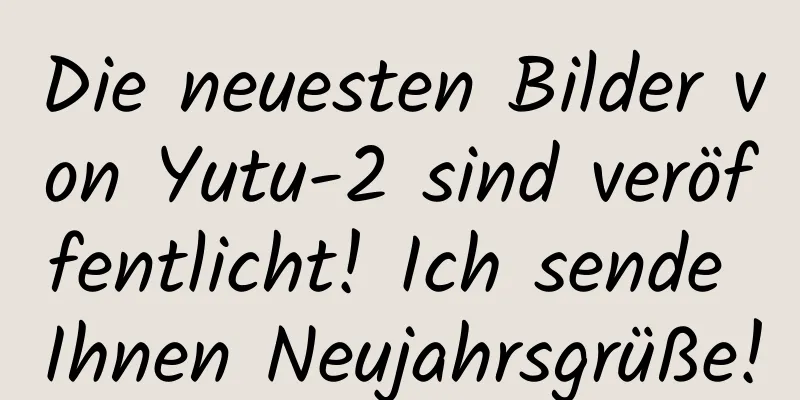 Die neuesten Bilder von Yutu-2 sind veröffentlicht! Ich sende Ihnen Neujahrsgrüße!