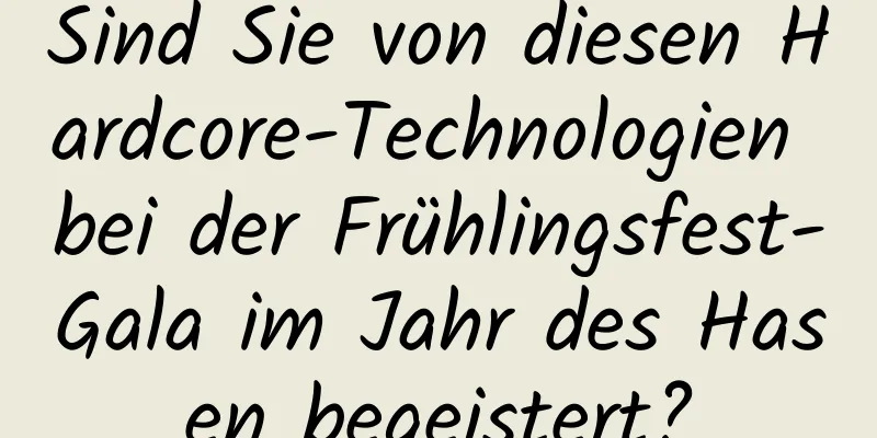 Sind Sie von diesen Hardcore-Technologien bei der Frühlingsfest-Gala im Jahr des Hasen begeistert?