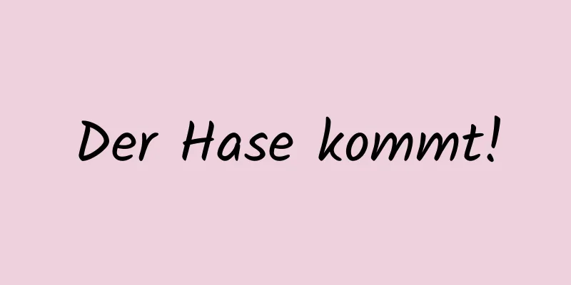 Der Hase kommt!