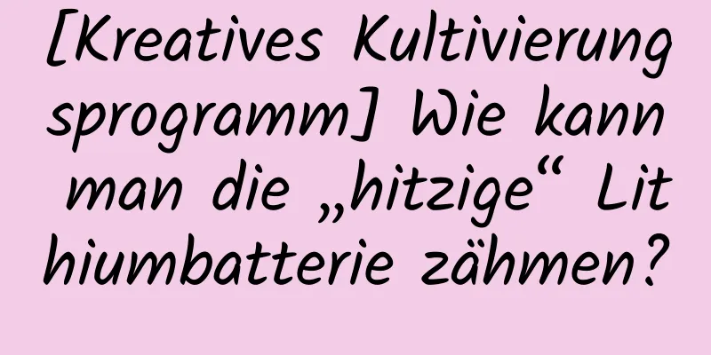 [Kreatives Kultivierungsprogramm] Wie kann man die „hitzige“ Lithiumbatterie zähmen?