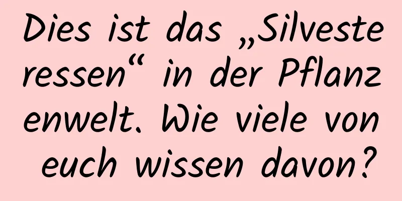 Dies ist das „Silvesteressen“ in der Pflanzenwelt. Wie viele von euch wissen davon?