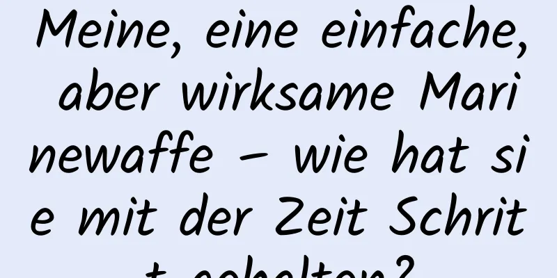 Meine, eine einfache, aber wirksame Marinewaffe – wie hat sie mit der Zeit Schritt gehalten?