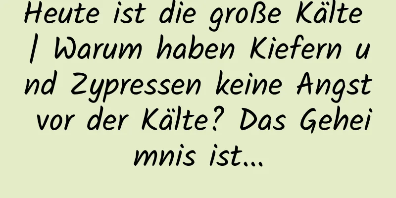 Heute ist die große Kälte | Warum haben Kiefern und Zypressen keine Angst vor der Kälte? Das Geheimnis ist...