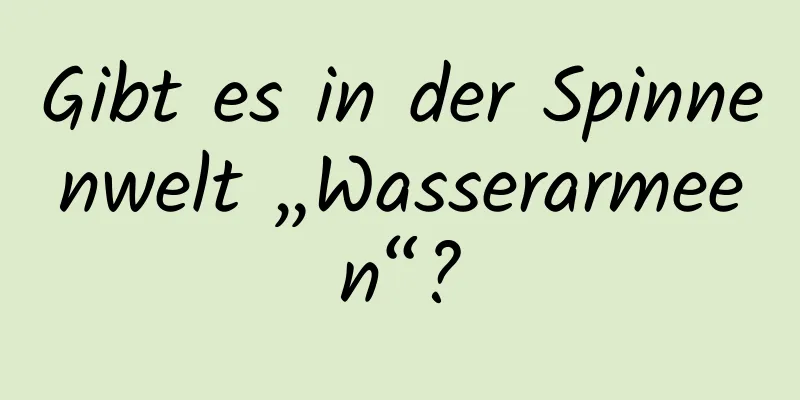 Gibt es in der Spinnenwelt „Wasserarmeen“?