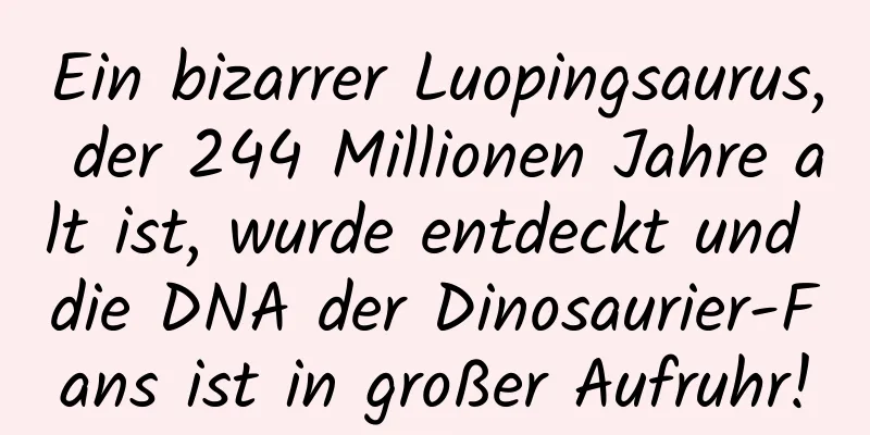 Ein bizarrer Luopingsaurus, der 244 Millionen Jahre alt ist, wurde entdeckt und die DNA der Dinosaurier-Fans ist in großer Aufruhr!